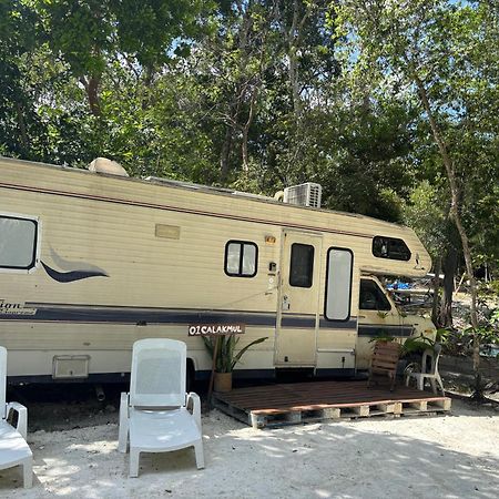 Momotoh Camper Otel Xpujil Dış mekan fotoğraf