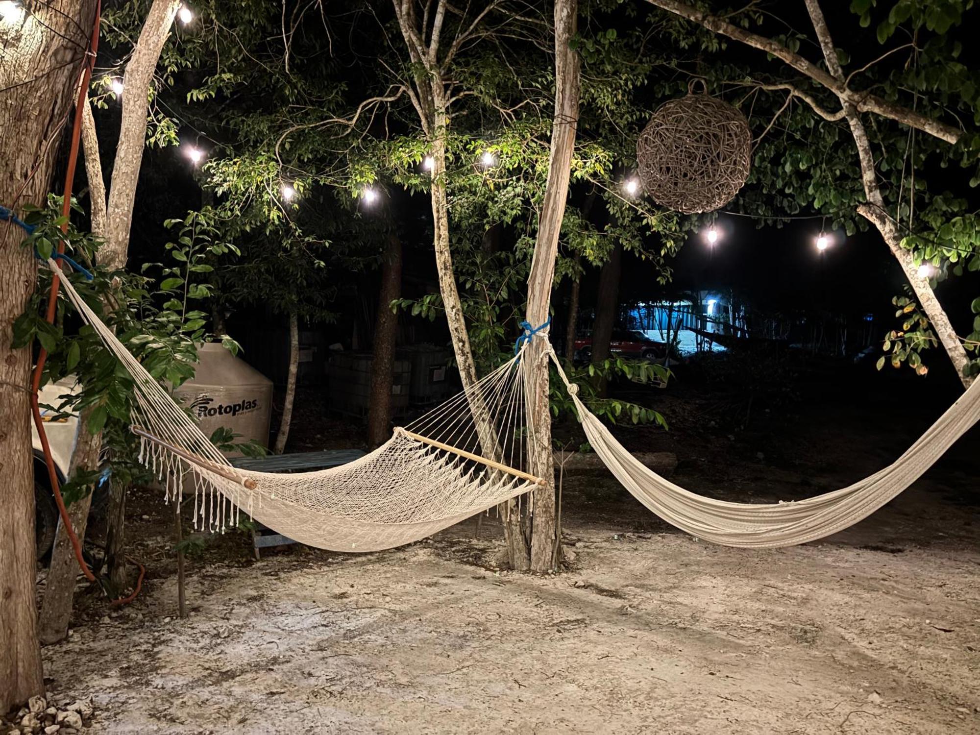Momotoh Camper Otel Xpujil Dış mekan fotoğraf
